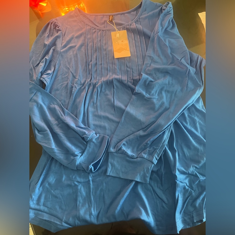 Women’s Blue Pleated Front Long Sleeve Top